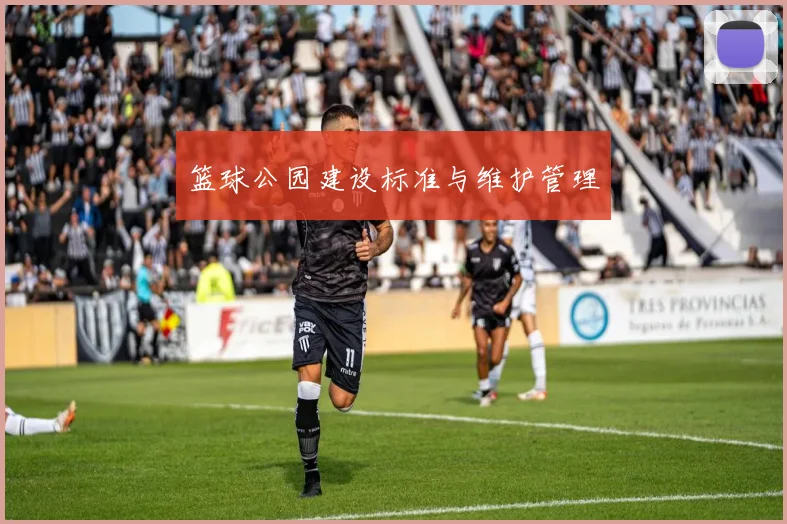 篮球公园建设标准与维护管理