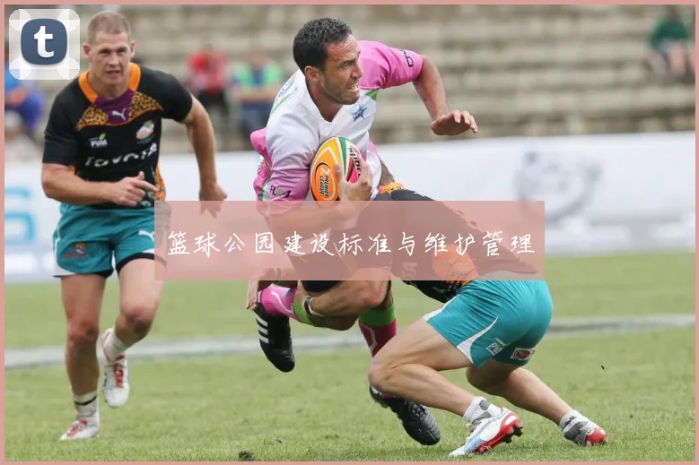 篮球公园建设标准与维护管理